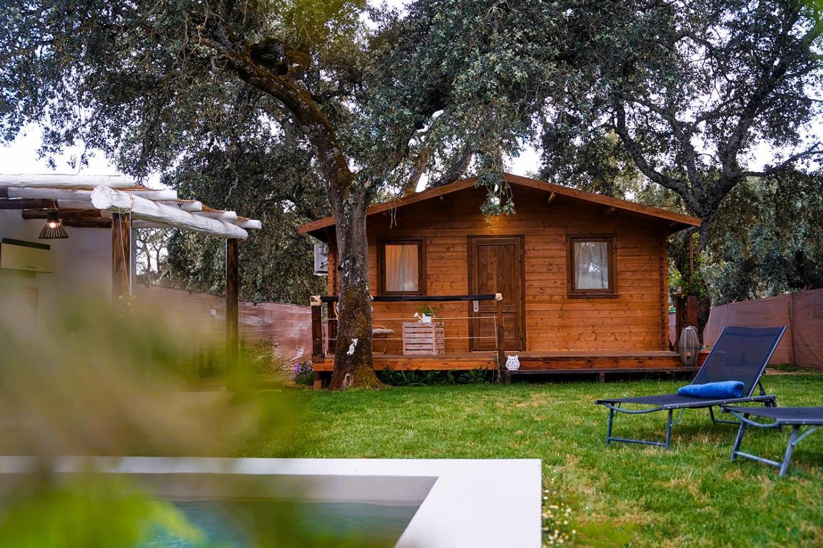 Cabana Rural El Arbol Near Setenil - Ronda Con Piscina Zewnętrze zdjęcie